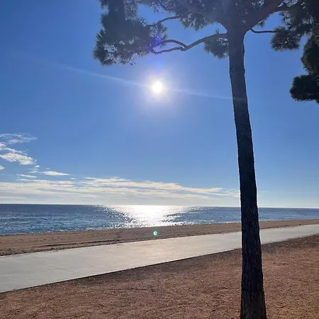 Penthouse In Platja D Aro Front Sea With Parking شقة